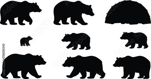 Fotografie Wild grizzly bear and cub silhouette vector set isolated on white background