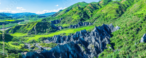 Canvastavla Unique black stone forest geological landform at Moshi Park in Sichuan, China