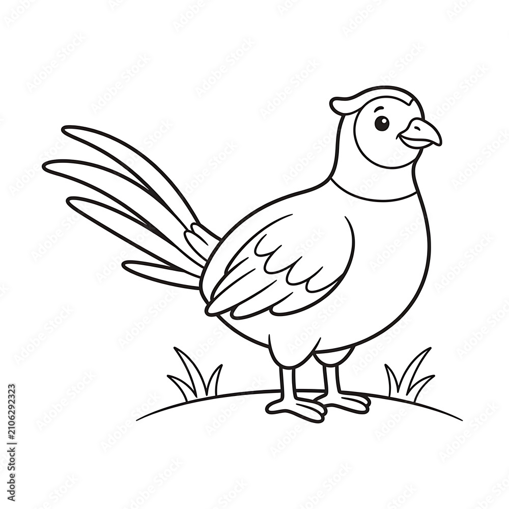 Fototapeta premium Green Pheasant Black Outline Coloring Page for Kids | Japanese Bird Line Art