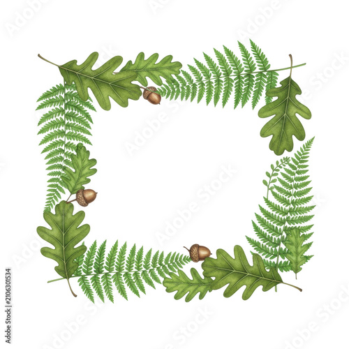 a meticulously hand-painted watercolor rectangular frame of bright emerald fern fronds and olive oak leaves with acorns, macro flat lay on white paper, zero shadows, high detail botanical accuracy