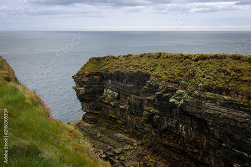 Cliffs near Duncansby Stacks with wild birds colonies, North Scotland