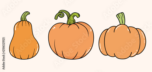 illustration of pumpkin hand drawn