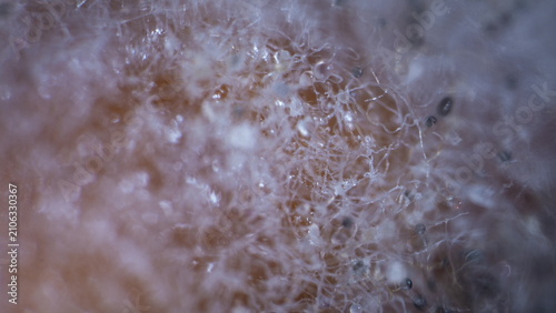 White Organic Fiber Texture with Pearl Shimmer, Abstract Macro Background, 4K Timelapse