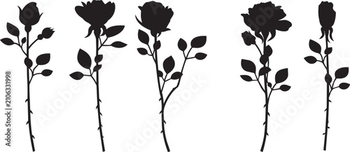 Vector silhouettes of roses in various stages of bloom from bud to full flower ideal for elegant graphic design and romantic themes
