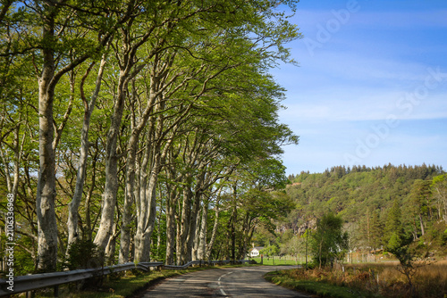 Scenic road view, Assynt area, North Scotland