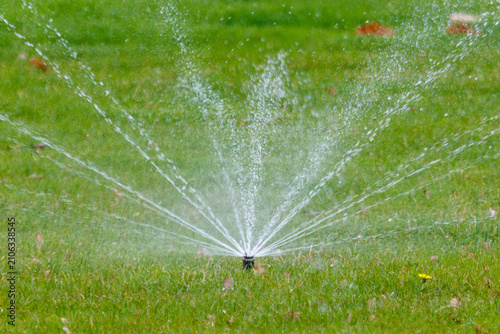 Close-up of automatic sprinkler watering vibrant green lawn