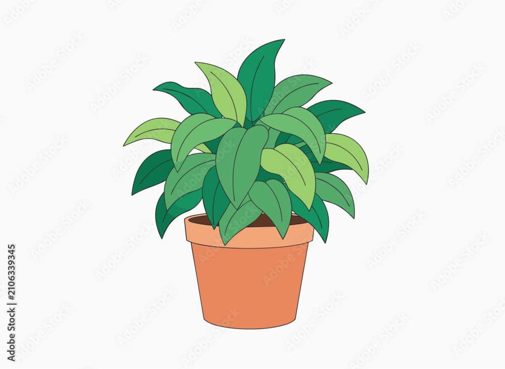 Fototapeta premium Healthy houseplant with vibrant green leaves stands in a classic terracotta clay pot against a clean white background.