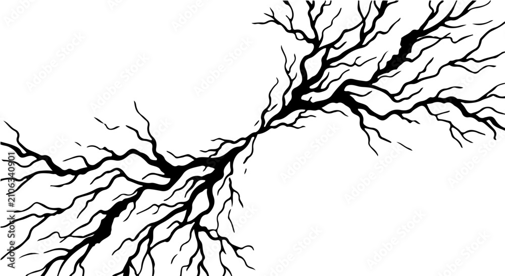 Fototapeta premium Black and white abstract lightning bolt or tree root pattern vector illustration.