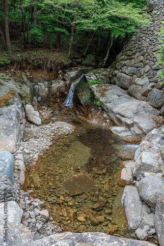 Clear Mountain Stream Flowing Through a Rocky Forest