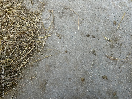 Concrete stable floor with straw and horse manure