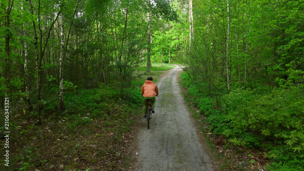 Fototapeta premium Outdoor cyclist enjoying nature trail in spring forest