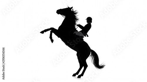 Silhouette of a rider on a rearing horse. Equestrian sport action on white background.