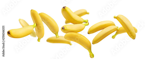 Bild auf Leinwand Delicious ripe bananas suspended in weightless motion, isolated on transparent c