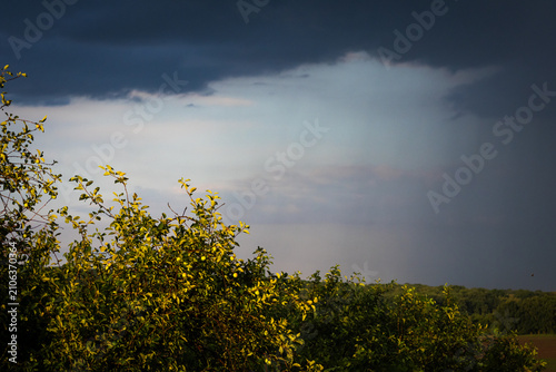 Dark storm clouds gather over a sunlit hedge and distant fields as streaks of rain fall beneath a dramatic sky. Patches of light reveal lush green leaves against the approaching weather