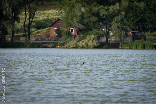 Obraz na plátně Broad lake stretches toward rustic cottages and trees a tranquil countryside pan
