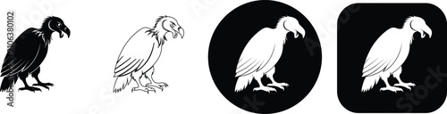 Foto Set of four vulture in black and white, featuring a scavenger bird standing in a