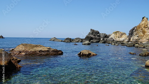 Canvastavla Wild Japanese Macaques on the Scenic Rocky Coast of Hagachizaki Monkey Bay in Iz