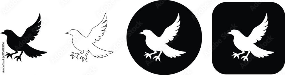 Fototapeta premium Set of four bird featuring a bird with wings spread in solid black, outline, white on black circle, and white on black rounded square