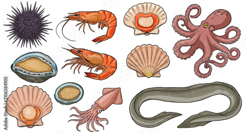 Photography Seafood ocean creatures collection 1.