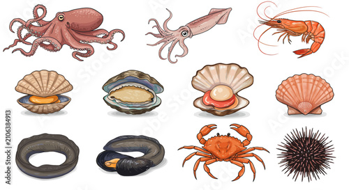 Photography Seafood ocean creatures collection 2.