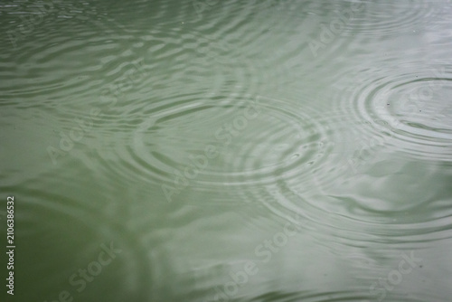 Canvas Print Raindrops touch a quiet pond and spread rings across pale green water