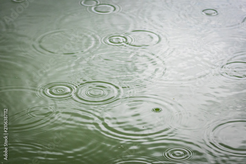 A pond surface ripples under steady drops forming tidy circles of varying size. Overlapping rings create lively textures while the quiet palette keeps the mood simple natural and relaxed.