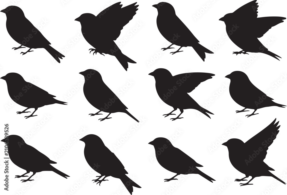 Fototapeta premium Collection of small bird silhouettes in various natural poses including standing, perching, and spreading wings, isolated on a white background.