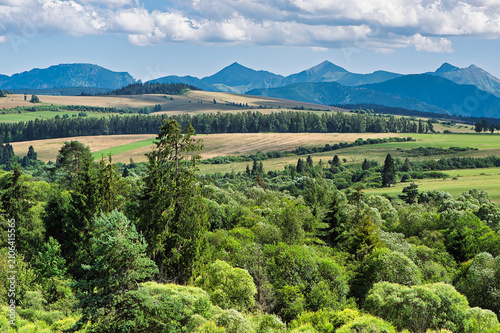 landscape with trees