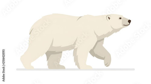 Polar bear walking with thick fur coat vector illustration