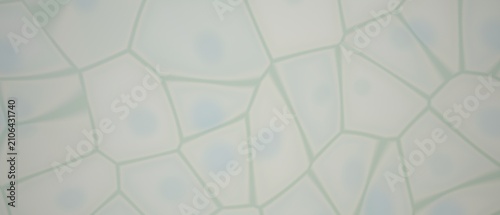 Foto Cellular structure with nuclei