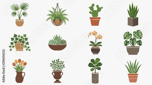 Foto Professional Collection of 12 Stylish Indoor Plants in Various Potted Designs wi