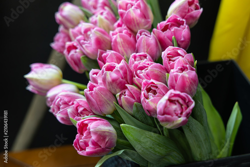 Canvas Print Vibrant Pink Tulips Arrangement