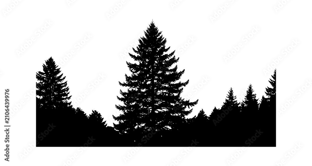 Fototapeta premium Black silhouette of pine trees in a forest line isolated on transparent background, Vector