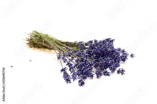 Canvas Print Lavender flowers arranged in a bundle on a white background, showcasing vibrant