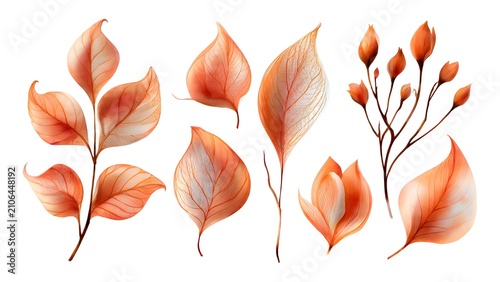 Vibrant Orange Autumn Leaves Arrangement on White