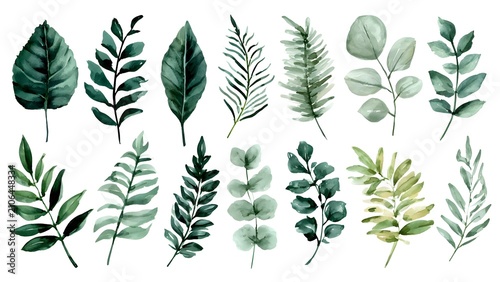 Green Watercolor Leaves Collection Displayed in Rows
