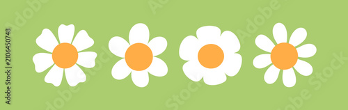 Daisy flowers set. Simple chamomile heads with white petals, top above view. ...