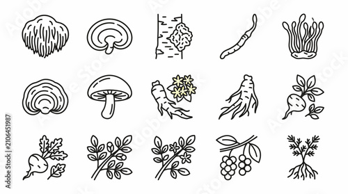 Set of line icons depicting various medicinal herbs and adaptogenic mushrooms.