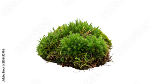 Foto Small circular clump of green organic natural forest moss isolated on transparen
