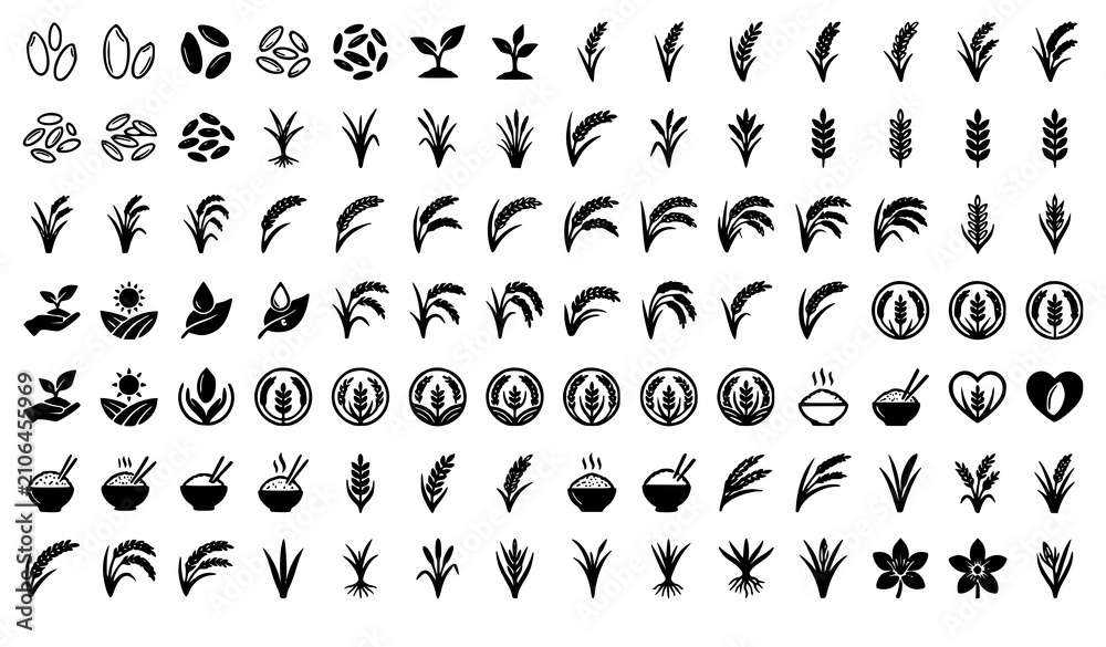 Obraz premium Rice Grain Vector Collection Paddy Silhouettes and Outline Icons