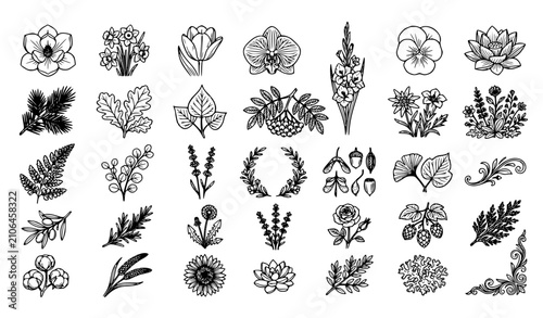 Fotografi Elegant Botanical Flower and Leaf Line Icons Vector Set with Mountain Floral Ele