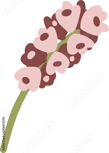 Hand Drawn Pastel Pink Hyacinth Wildflower Stem Illustration