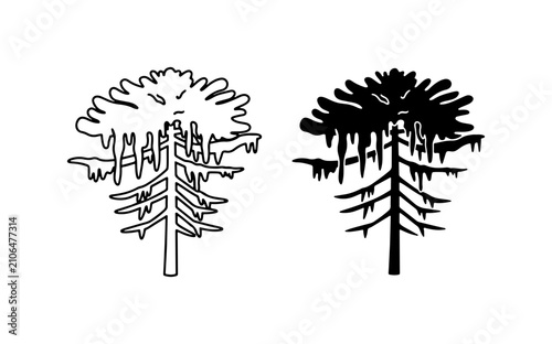 Foto Araucaria Tree Vector Icon, Black and White Pine Tree Silhouette, Nature Logo El