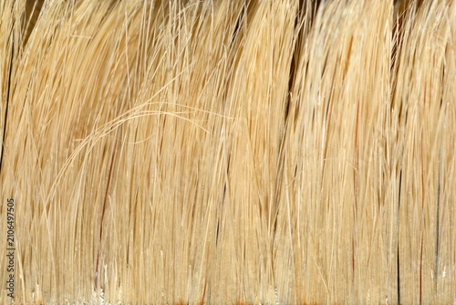 Фотография A macro shot showing the fine texture of natural light blonde or beige bristles