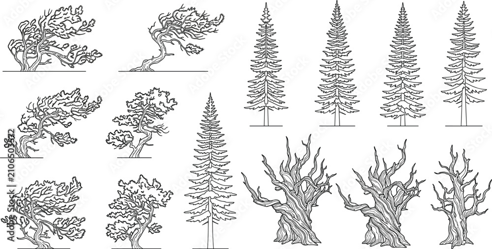 Obraz premium Vector collection of hand drawn line art trees featuring pine, fir, dead branches, and windswept silhouettes