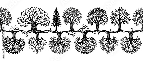 фотографія Genealogy Tree Line Art with Intricate Roots and Branches