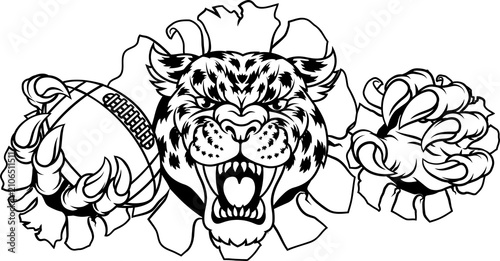 A jaguar, panther, leopard ...