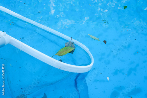 Cleaning debris from the pool surface. Pool net for catching debris. Home pool maintenance. Minimal, copy space.