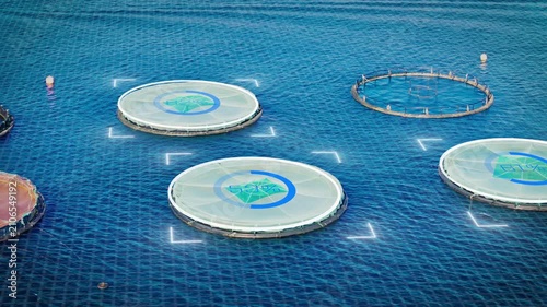 Aerial view of offshore fish farm cages with AI smart aquaculture management, remote stock control, and real-time production tracking