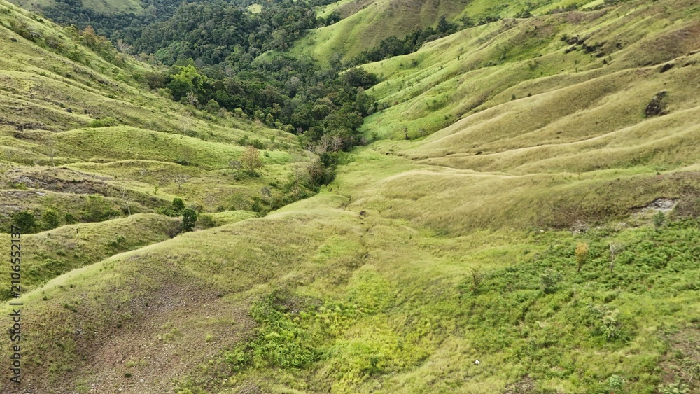 Obraz premium Rolling Green Hills and Lush Tropical Valley Landscape with Scenic Mountain View